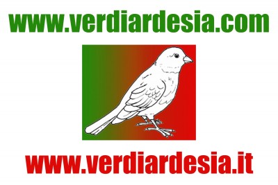 verdiardesia.jpg