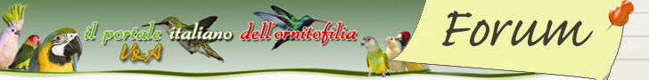 Il Portale Italiano dell'Ornitofilia V&A - Home Page